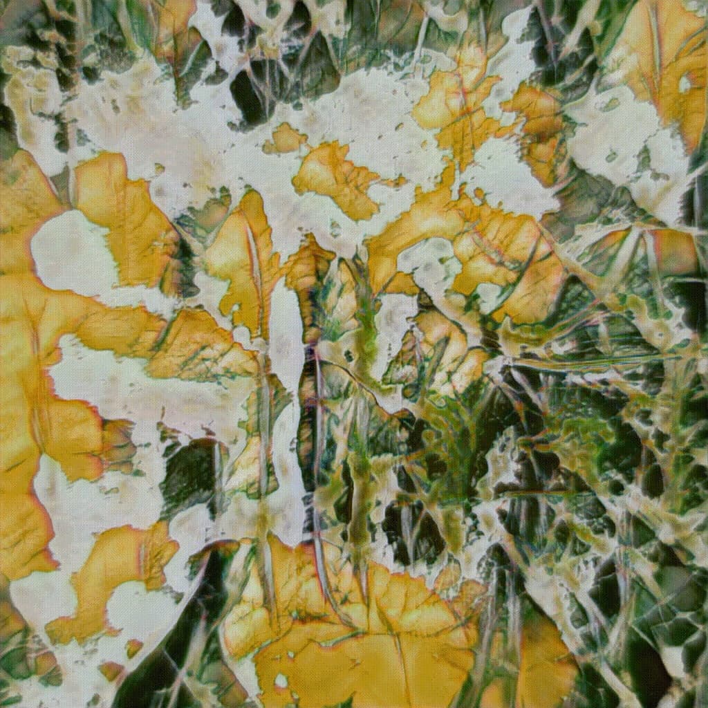 profile cover photo